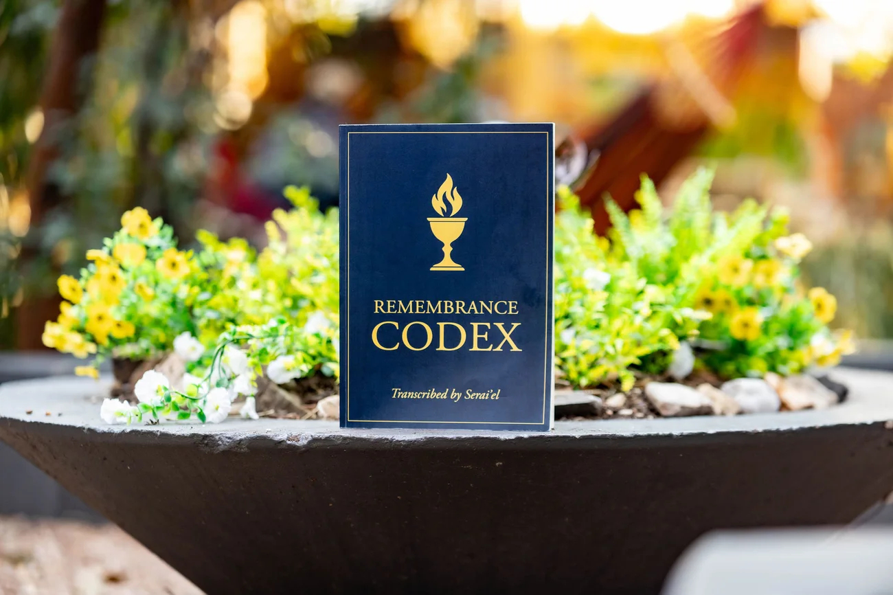 The navy and gold Remembrance Codex volume standing in a garden planter at sunset.